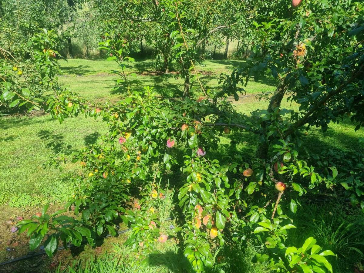 Savana Estate Poukawa Dış mekan fotoğraf
