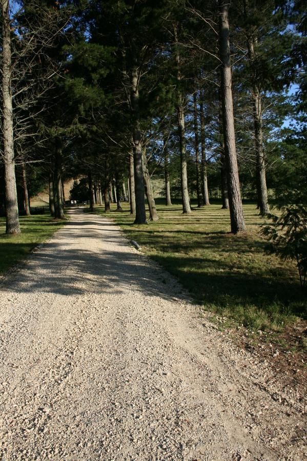Savana Estate Poukawa Dış mekan fotoğraf